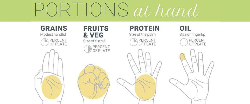 An infographic showing portion sizes for grains, fruits, protein, and oil using hand measurements.