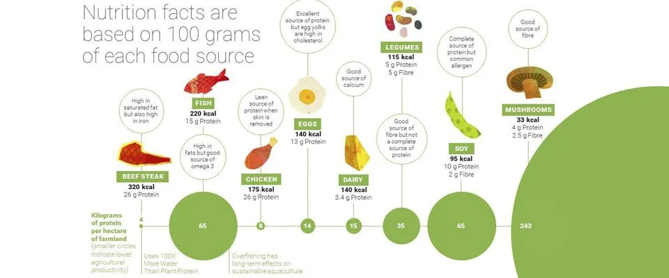 An infographic comparing various protein sources like beef, fish, eggs, legumes, and soy.