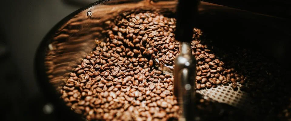 A coffee grinder processes whole coffee beans, transforming them into a fine grind for brewing.