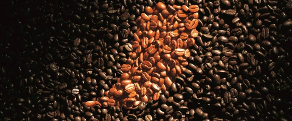 An artistic image of coffee beans, highlighting seven facts about coffee.