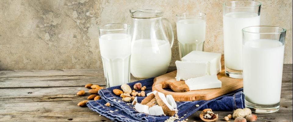 cooking_without_animal-based_ingredients