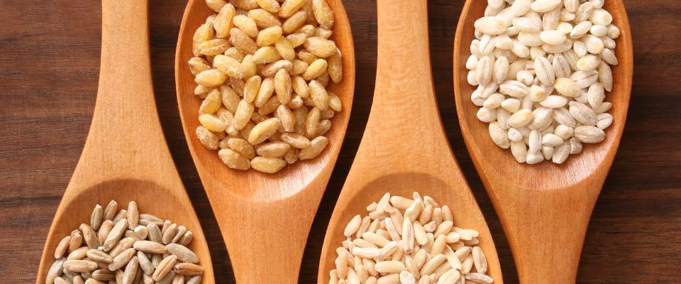 Various wholesome grains displayed in wooden spoons, showcasing healthy ingredients.