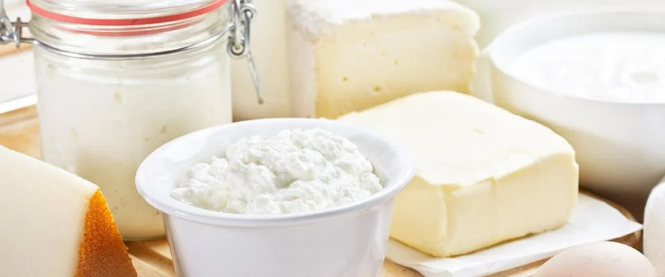 Assorted dairy products including yogurt, cottage cheese, butter, and blocks of cheese.