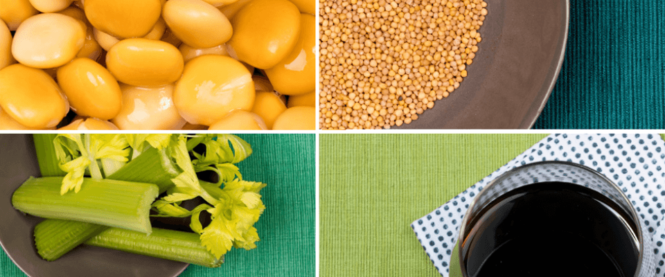 An assortment of plant-based options: vegetables, legumes, and seeds, on a blue background.