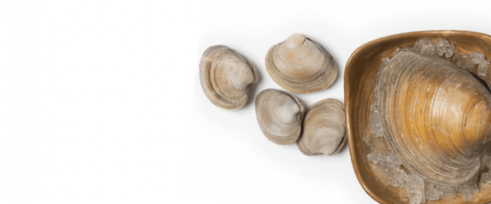 Assorted seafood on a plate highlighting common seafood allergies