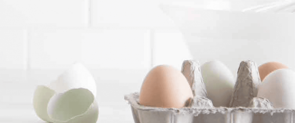Eggs in an egg carton, highlighting common food allergens like eggs.