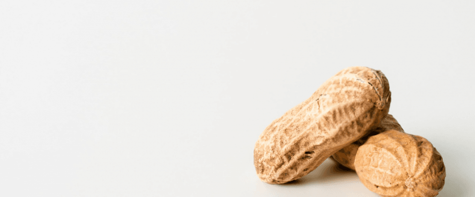 Allergic fatal reactions, close-up of peanuts in shell on a white background.