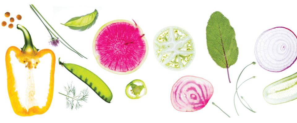 A circle of various fresh vegetables, such as tomatoes, cucumbers, and bell peppers, beautifully displayed.