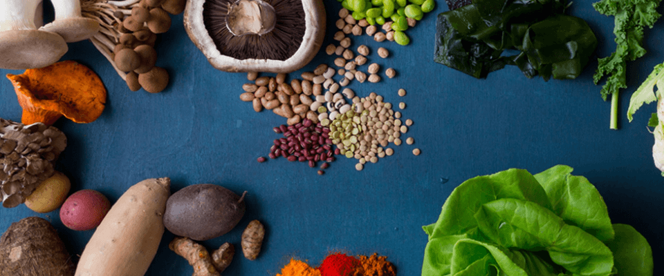 An assortment of plant-based options, including vegetables, legumes, and seeds, on a blue background.