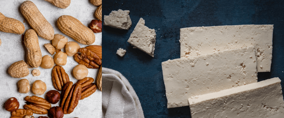 Nuts and tofu, showcasing plant-based alternatives for the center of the plate.