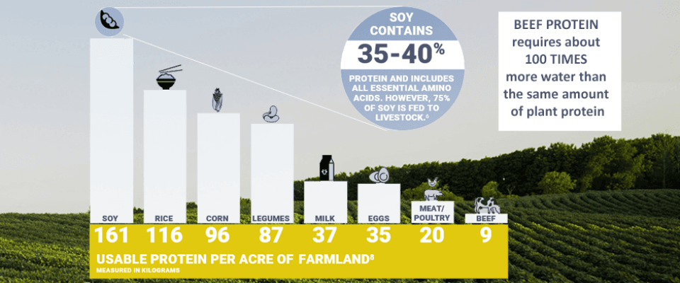 An infographic comparing usable protein per acre of farmland, highlighting plants feeding the world.
