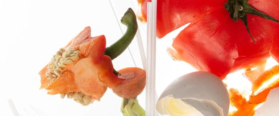 A vibrant flower and a delicate egg sit together in a clear glass, showcasing their natural beauty.