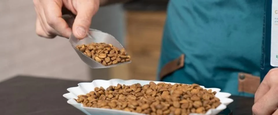 A person scoops dog food from a bowl, preparing to feed their pet with care and attention.
