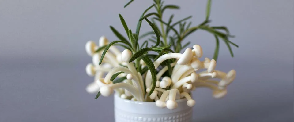 Rosemary mushrooms served on a plate inspired by Mediterranean cuisine