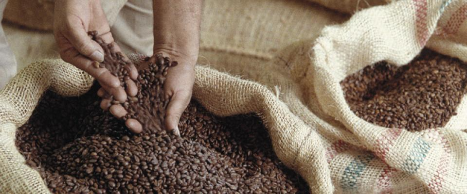 A man operates a machine in a busy factory, focused on his work amidst industrial surroundings.