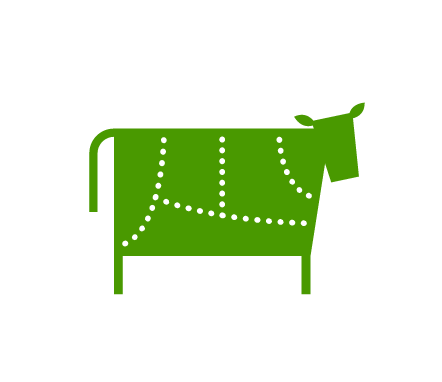 A cow with a dotted line drawn across its body, highlighting a specific area for illustration.