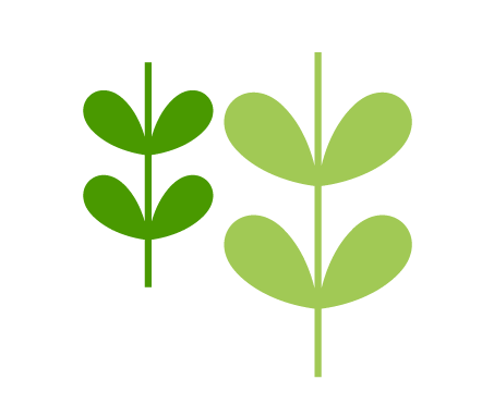 Two vibrant green leaves resting on a clean white background.