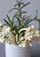 A white vase containing mushrooms and herbs, highlighting a blend of textures and colors.
