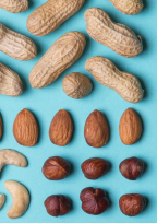 A colorful circle of nuts and seeds set on a striking blue surface.