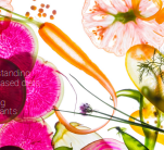 A vibrant display of assorted vegetables and flowers arranged together in a colorful composition.