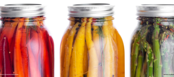 Four bottles filled with vibrant, colorful vegetables, showcasing a variety of hues and textures.