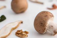 A variety of mushrooms and fresh ingredients arranged neatly on a clean white surface.