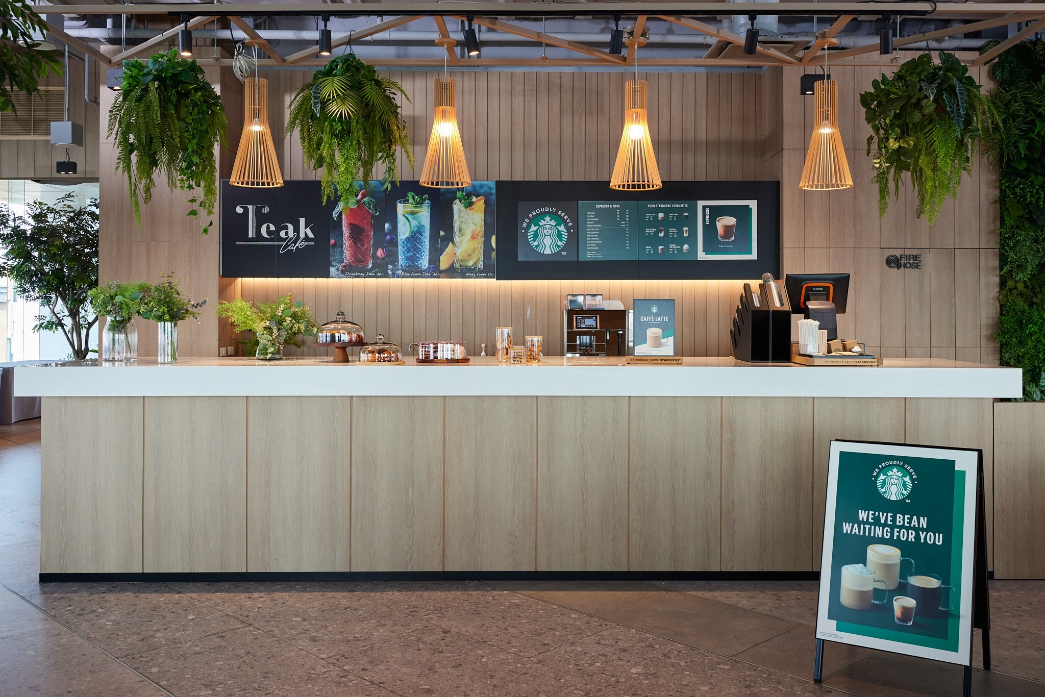 A Starbucks coffee shop featuring plants hanging from the ceiling, creating a warm atmosphere.