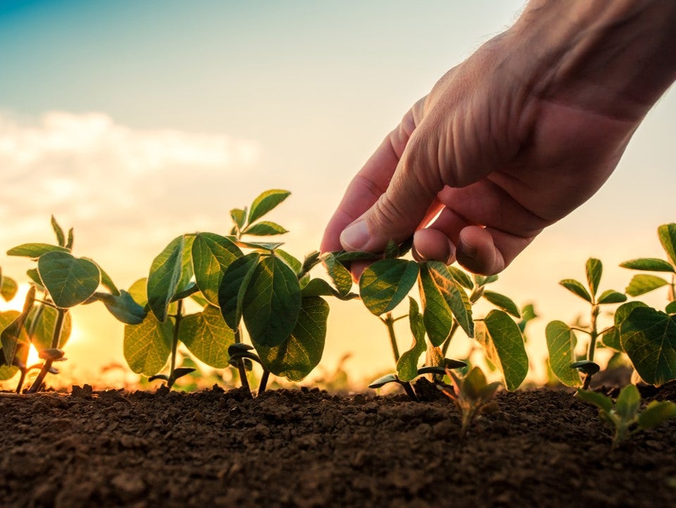 Scenic view of a farm with fields, trees, and a clear sky