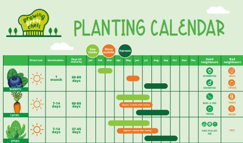 Planting calendar featuring illustrations of plants and fruits, organized by planting seasons.