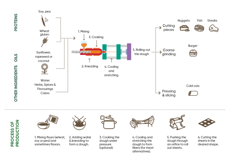 A diagram showing the step-by-step process of making plant-based meat alternatives from raw ingredients