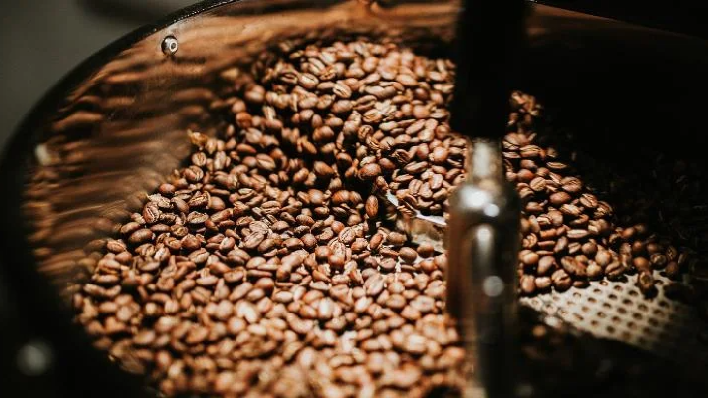 Using freshly roasted coffee in your coffee shop | Nestlé Professional