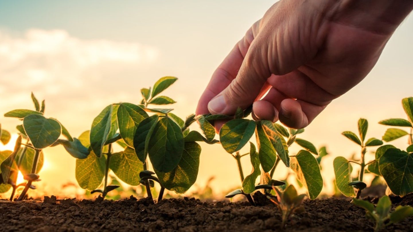Planting change for a better tomorrow with GARDEN GOURMET® | Nestlé ...