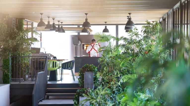Chef working in a kitchen with plants as landascape.