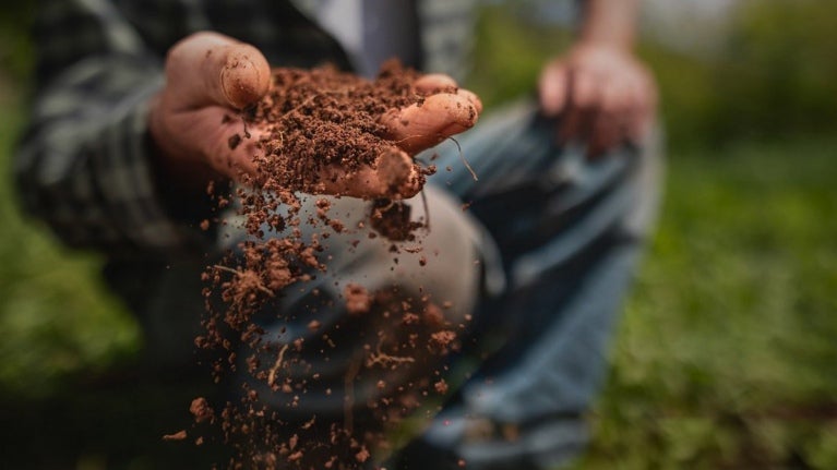 Farmer holding rich soil in hand, symbolizing regenerative agriculture and healthy land