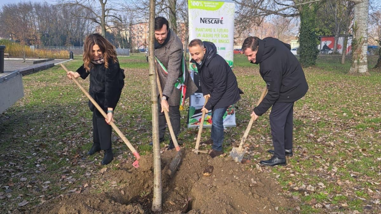 A group of people planting young trees in a green park, working together to enhance the environment.