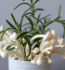 A white vase containing mushrooms and herbs, highlighting a blend of textures and colors.