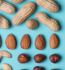 A colorful circle of nuts and seeds set on a striking blue surface.