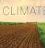 A farmer stands in a field with wilting plants.