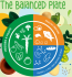 Infographic displaying a balanced plate concept.