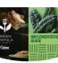 Green Spatula Implementation guide thumbnail