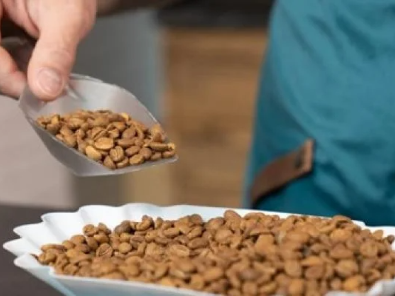 A person scoops dog food from a bowl, preparing to feed their pet with care and attention.