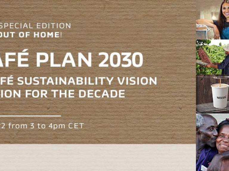 A detailed scaffold plan for 2030, showcasing structural designs and safety measures for construction projects.