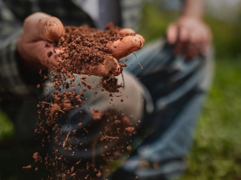Farmer holding rich soil in hand, symbolizing regenerative agriculture and healthy land