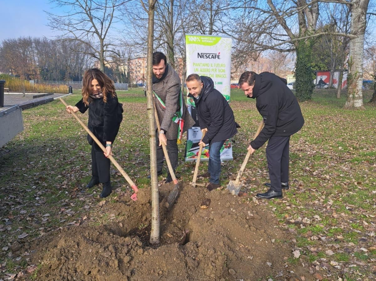 A group of people planting young trees in a green park, working together to enhance the environment.