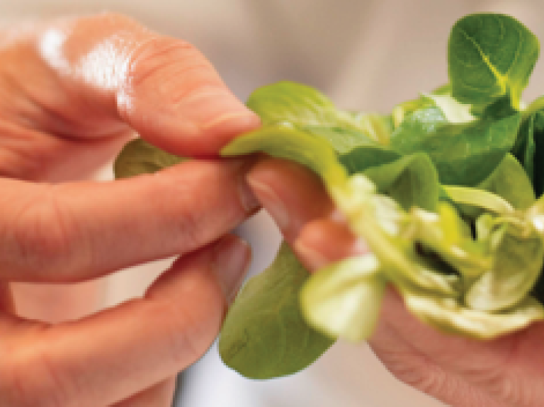 A chef in a white uniform holds a bunch of fresh green leaves, smiling in a bright kitchen setting.