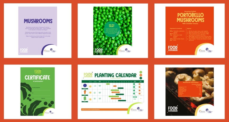 View of all the ICD toolkit materials